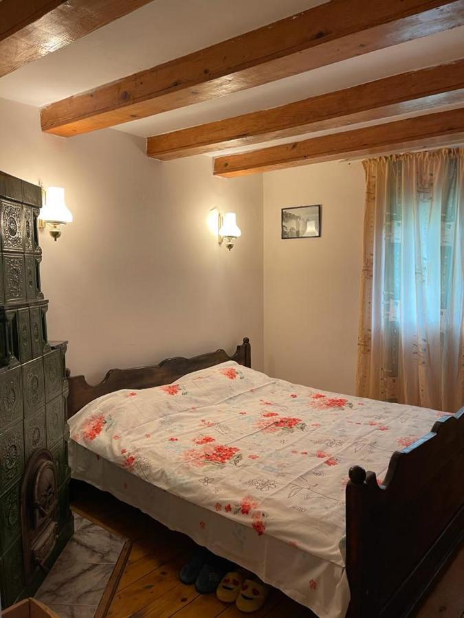 Valea Lunga-CricovCasa Adelina别墅 外观 照片