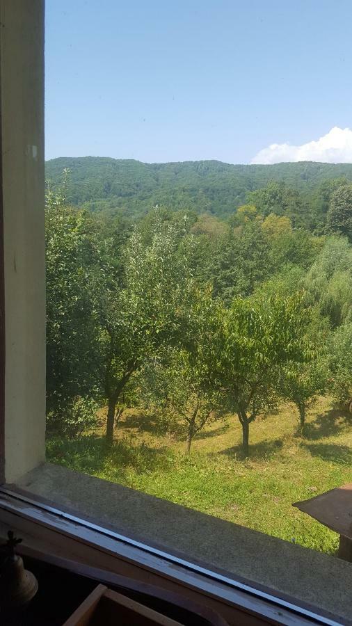 Valea Lunga-CricovCasa Adelina别墅 外观 照片